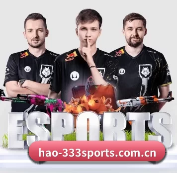 hao-333sports.com.cn APP 界面